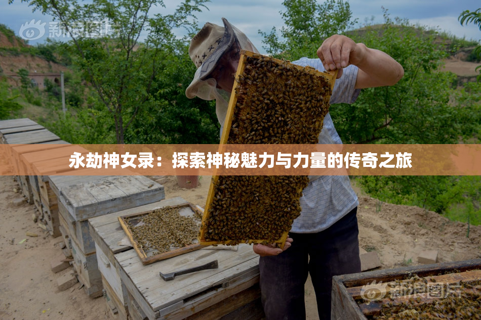 永劫神女录：探索神秘魅力与力量的传奇之旅