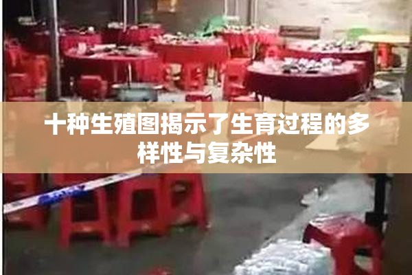 十种生殖图揭示了生育过程的多样性与复杂性