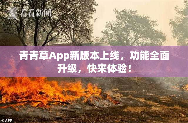 青青草App新版本上线，功能全面升级，快来体验！