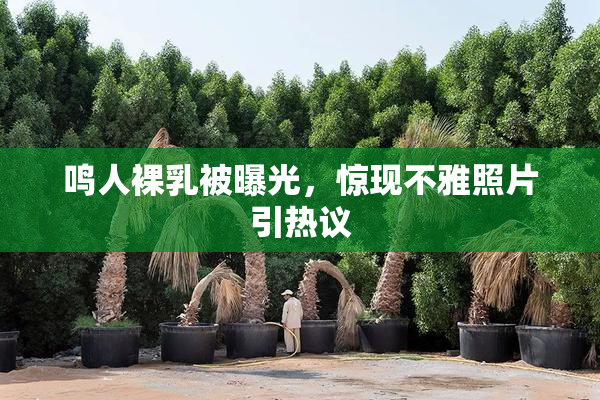 鸣人裸乳被曝光，惊现不雅照片引热议