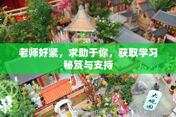 老师好紧，求助于你，获取学习秘笈与支持