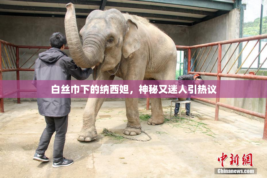 白丝巾下的纳西妲，神秘又迷人引热议