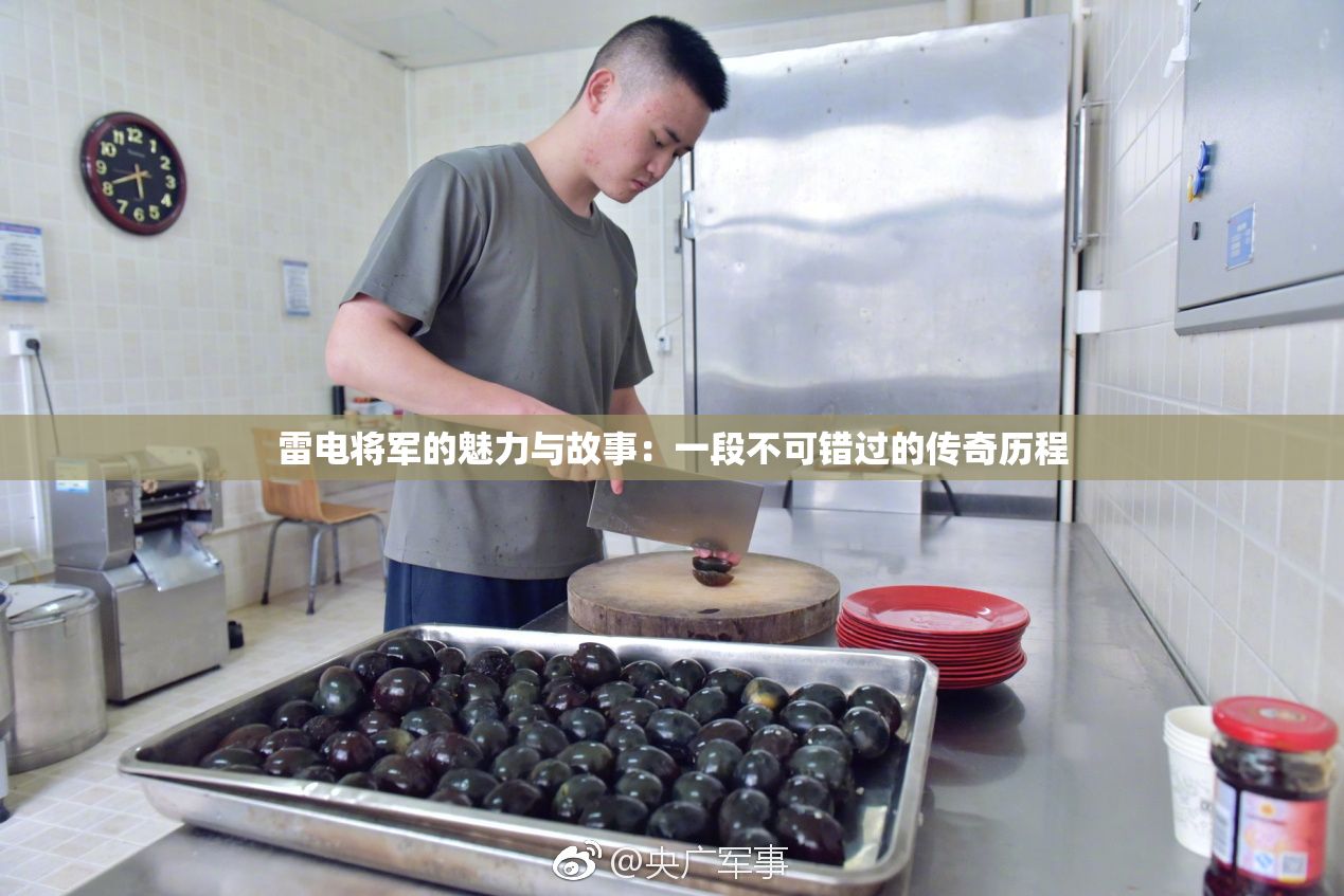 雷电将军的魅力与故事：一段不可错过的传奇历程