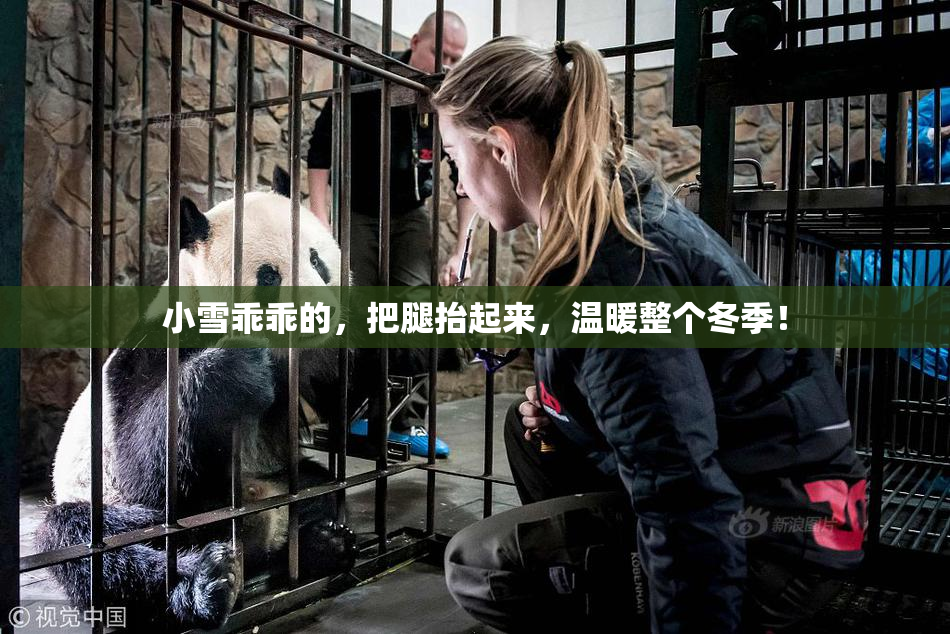 小雪乖乖的，把腿抬起来，温暖整个冬季！