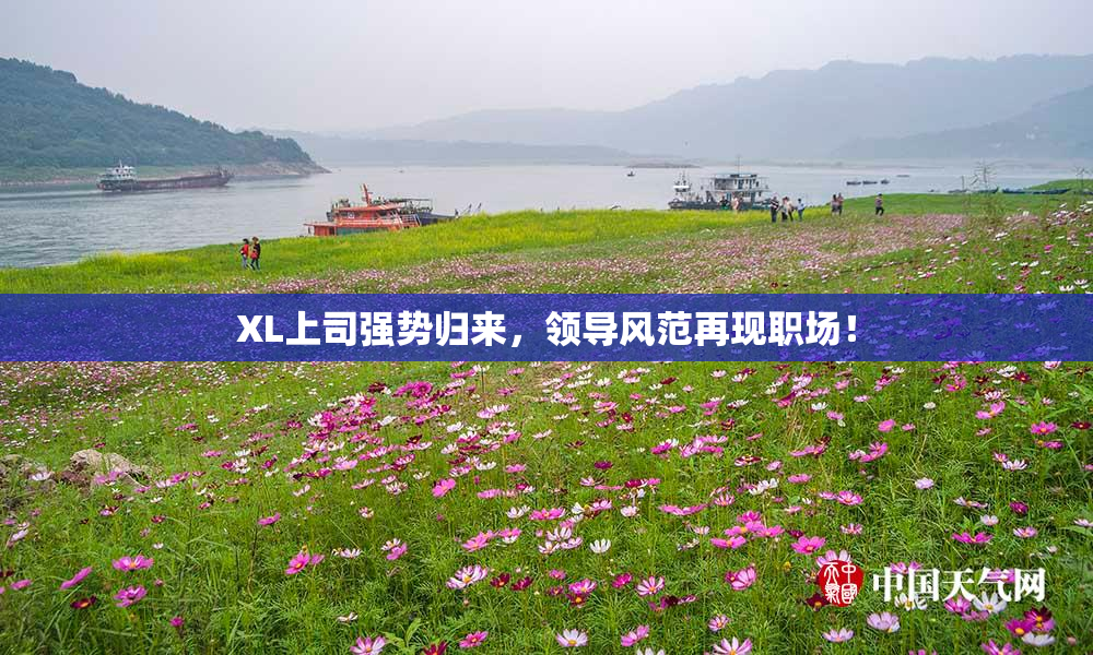XL上司强势归来，领导风范再现职场！