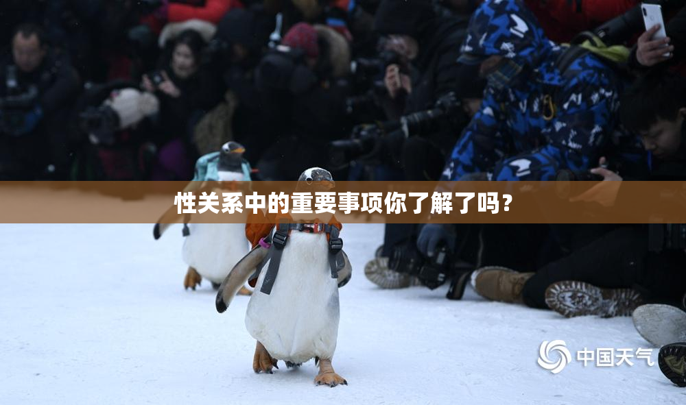 性关系中的重要事项你了解了吗？