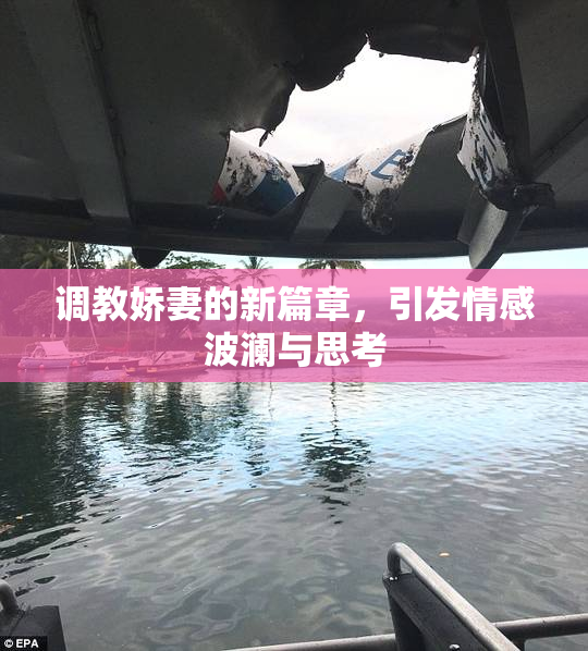 调教娇妻的新篇章，引发情感波澜与思考