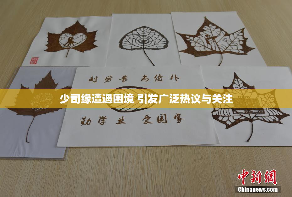 少司缘遭遇困境 引发广泛热议与关注