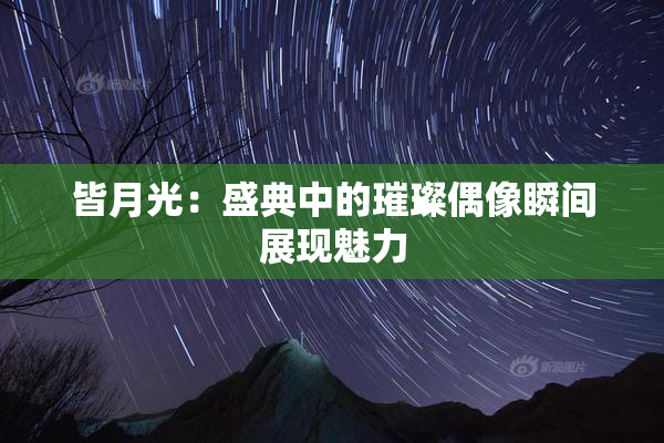 皆月光：盛典中的璀璨偶像瞬间展现魅力