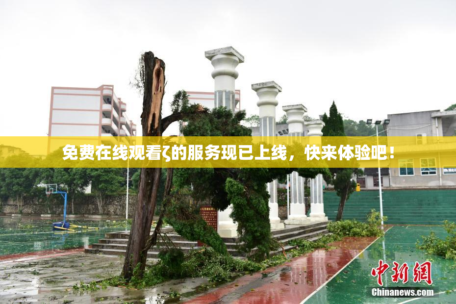 免费在线观看ζ的服务现已上线，快来体验吧！