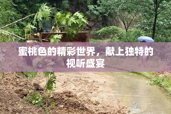 蜜桃色的精彩世界，献上独特的视听盛宴
