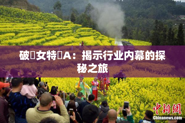 破處女特級A：揭示行业内幕的探秘之旅