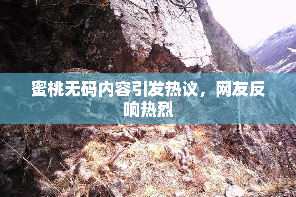 蜜桃无码内容引发热议，网友反响热烈