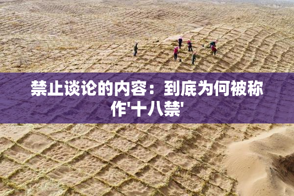 禁止谈论的内容：到底为何被称作'十八禁'