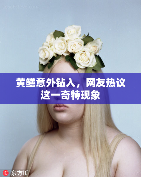 黄鳝意外钻入，网友热议这一奇特现象