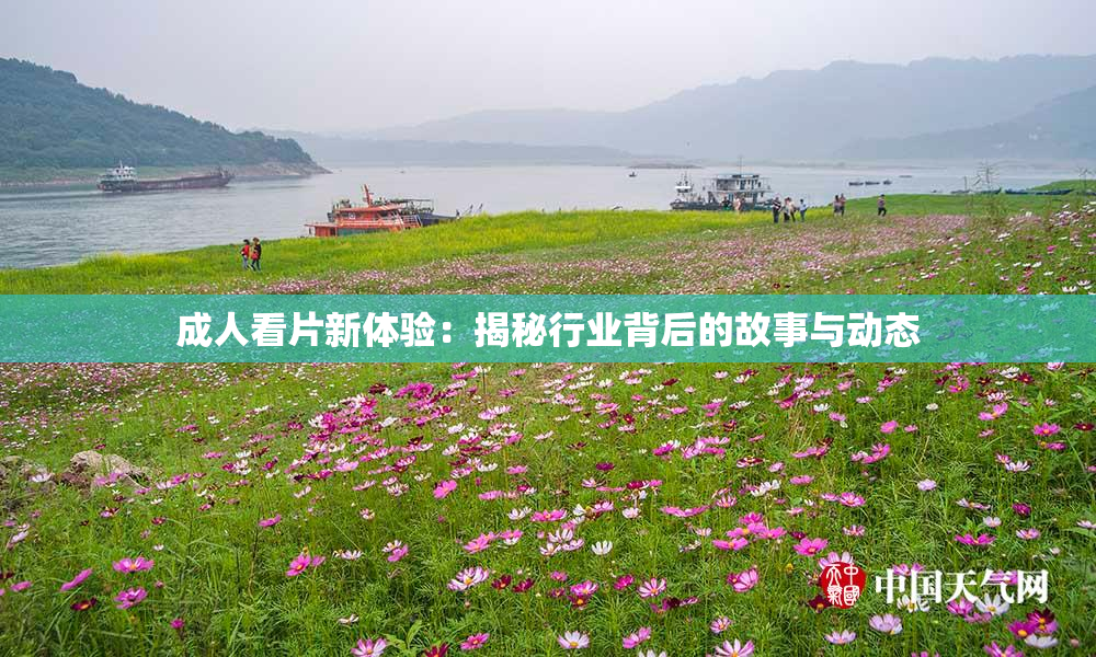 成人看片新体验：揭秘行业背后的故事与动态