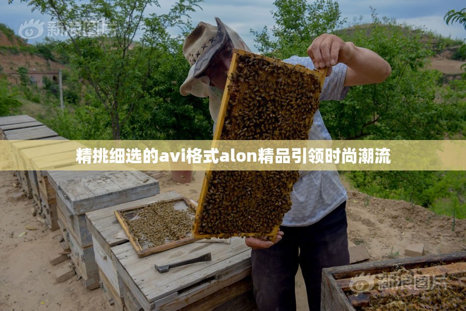 精挑细选的avi格式alon精品引领时尚潮流