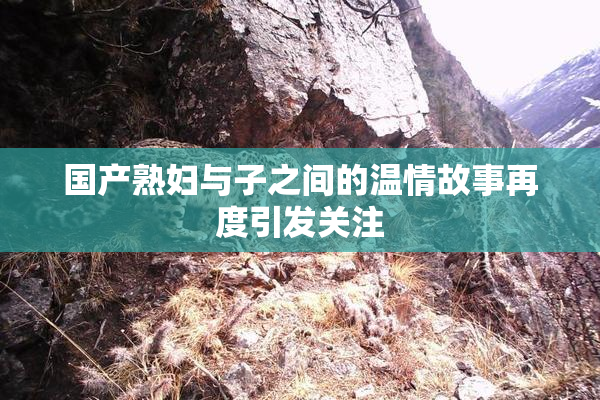 国产熟妇与子之间的温情故事再度引发关注