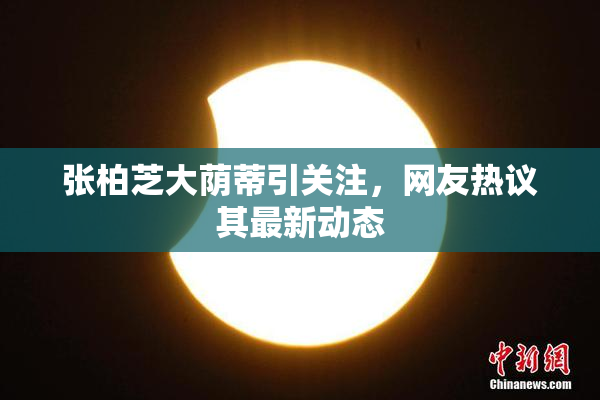 张柏芝大荫蒂引关注，网友热议其最新动态
