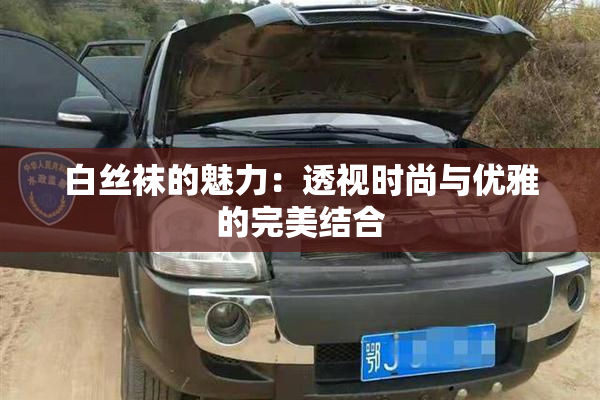 白丝袜的魅力：透视时尚与优雅的完美结合