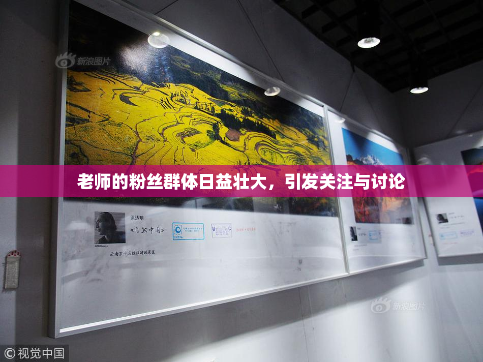 老师的粉丝群体日益壮大，引发关注与讨论