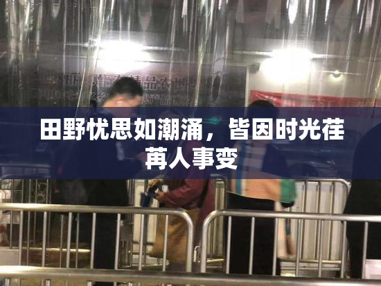 田野忧思如潮涌，皆因时光荏苒人事变