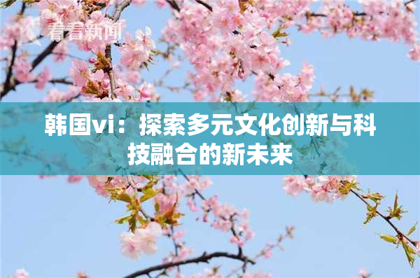 韩国vi：探索多元文化创新与科技融合的新未来