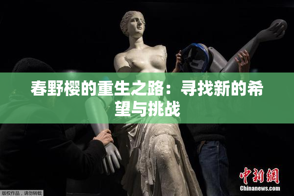 春野樱的重生之路：寻找新的希望与挑战