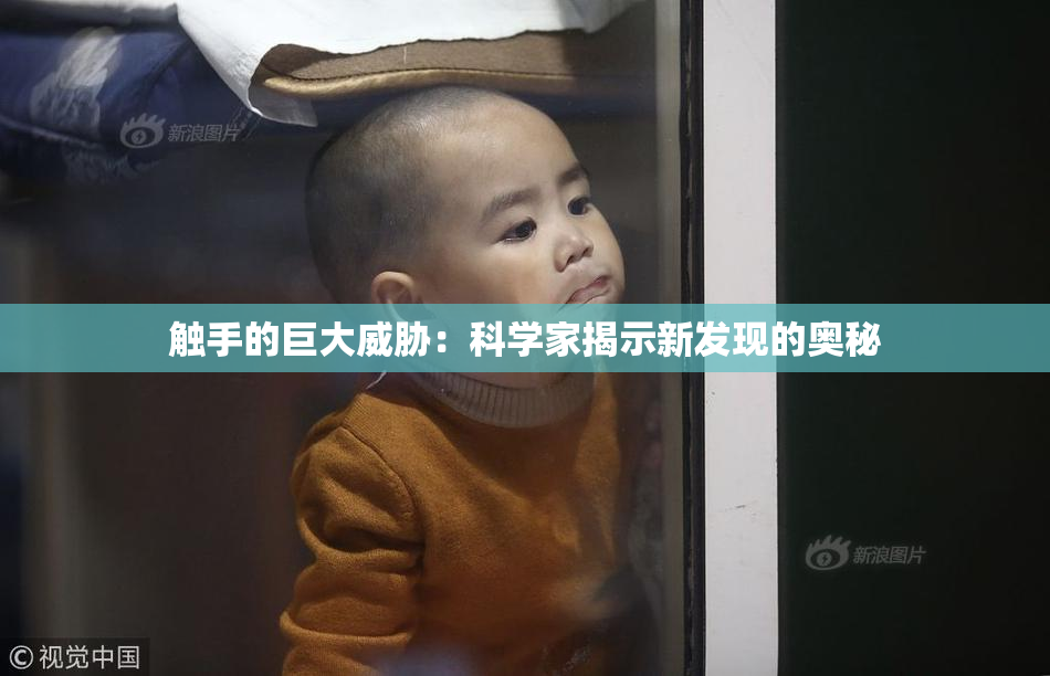 触手的巨大威胁：科学家揭示新发现的奥秘