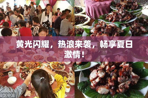 黄光闪耀，热浪来袭，畅享夏日激情！