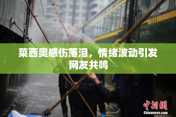 菜西奥感伤落泪，情绪波动引发网友共鸣