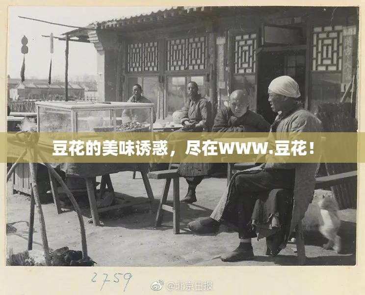 豆花的美味诱惑，尽在WWW.豆花！