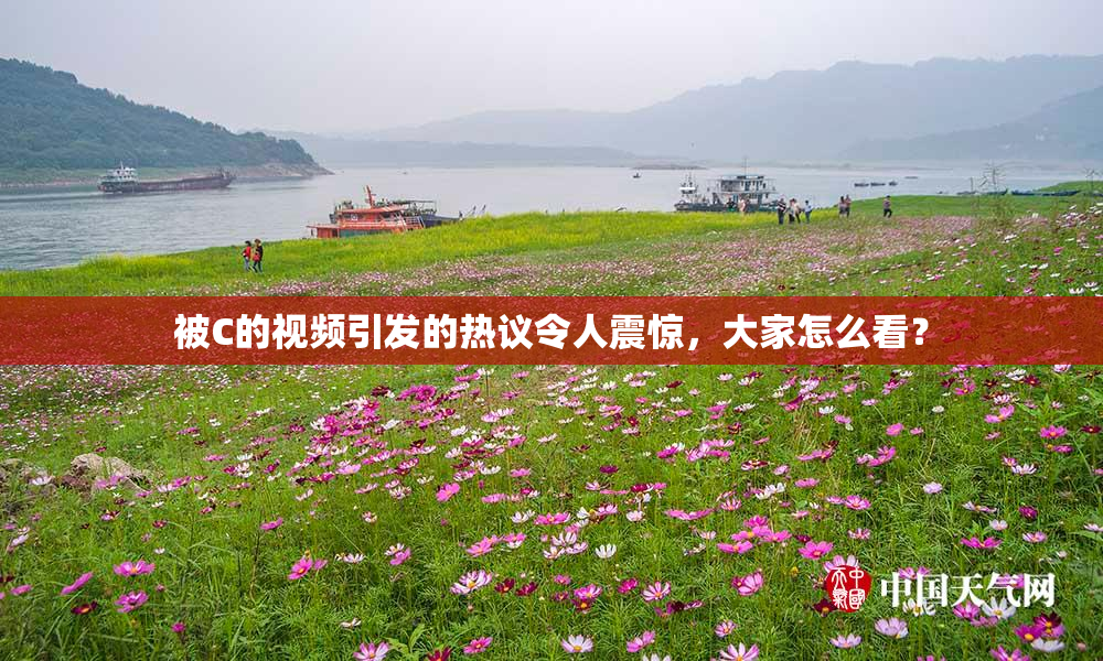 被C的视频引发的热议令人震惊，大家怎么看？