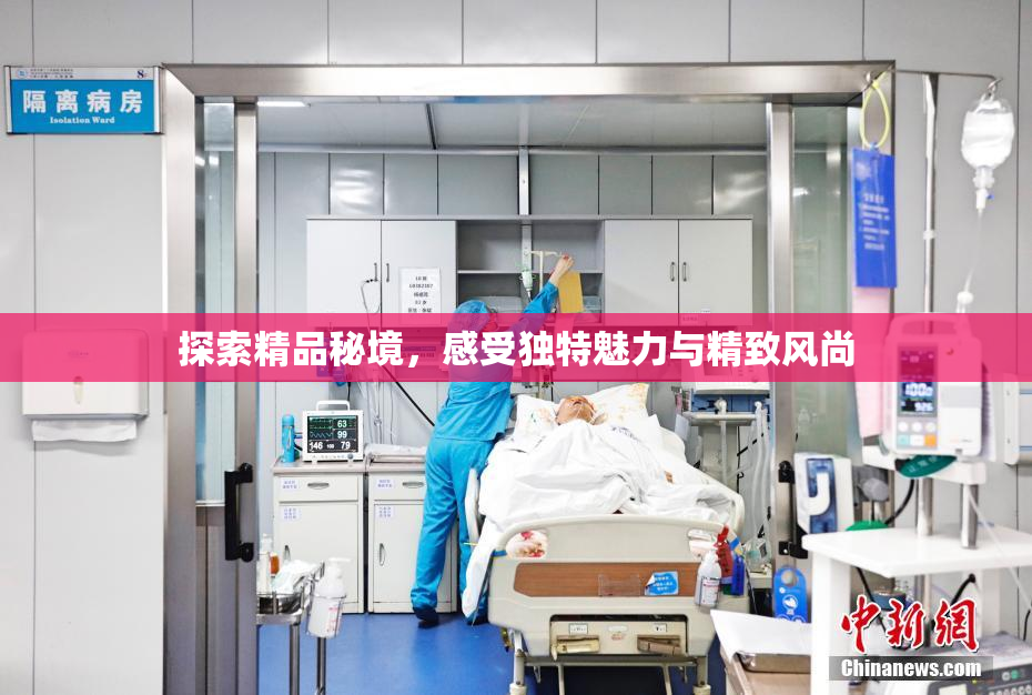 探索精品秘境，感受独特魅力与精致风尚