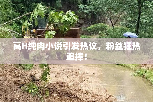 高H纯肉小说引发热议，粉丝狂热追捧！