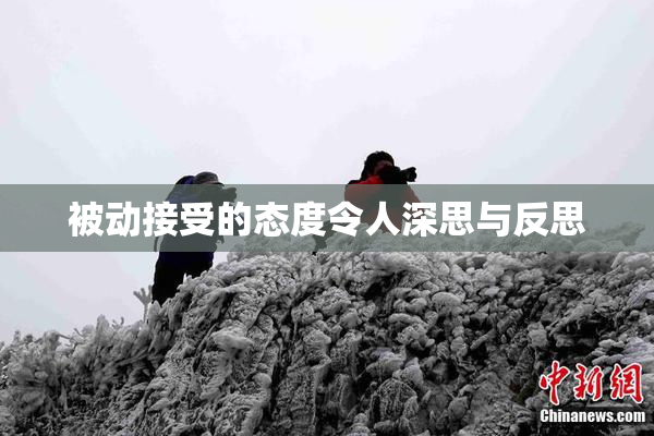 被动接受的态度令人深思与反思