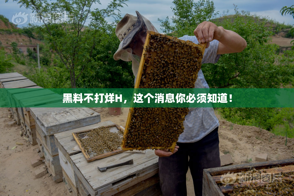 黑料不打烊H，这个消息你必须知道！