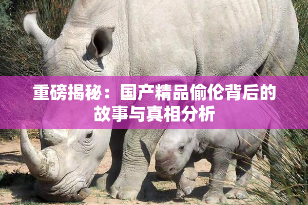 重磅揭秘：国产精品偷伦背后的故事与真相分析