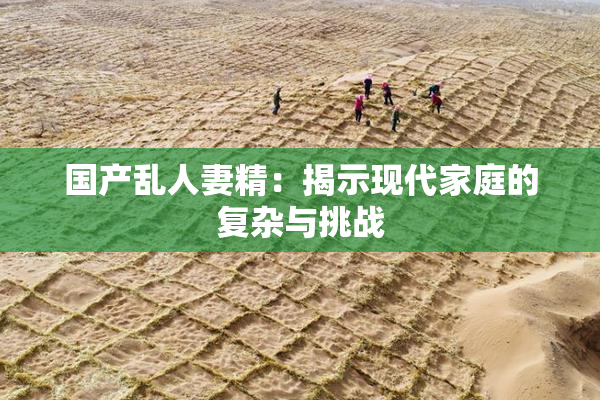 国产乱人妻精：揭示现代家庭的复杂与挑战
