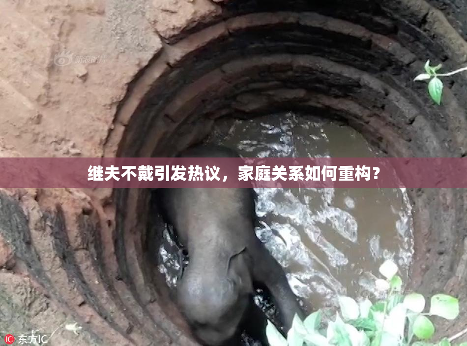 继夫不戴引发热议，家庭关系如何重构？
