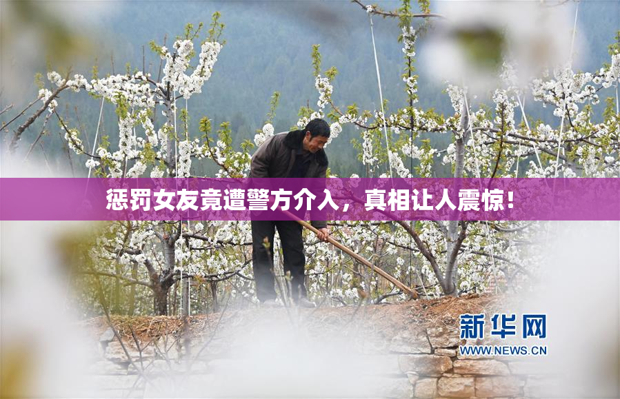 惩罚女友竟遭警方介入，真相让人震惊！