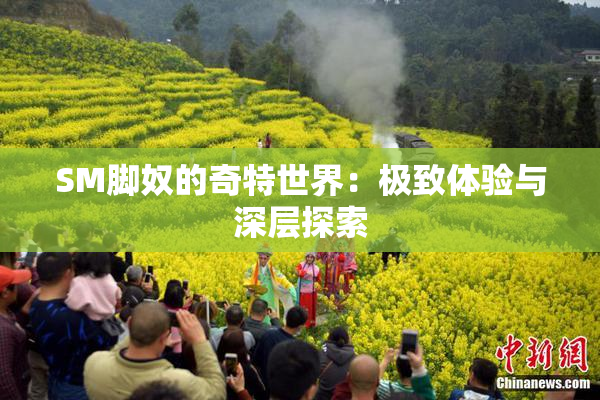 SM脚奴的奇特世界：极致体验与深层探索