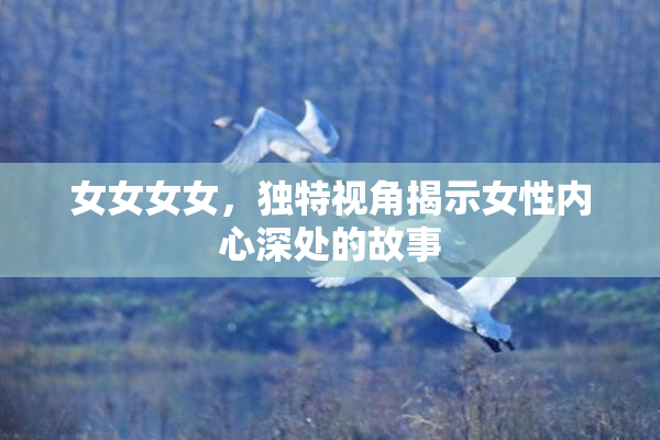 女女女女，独特视角揭示女性内心深处的故事