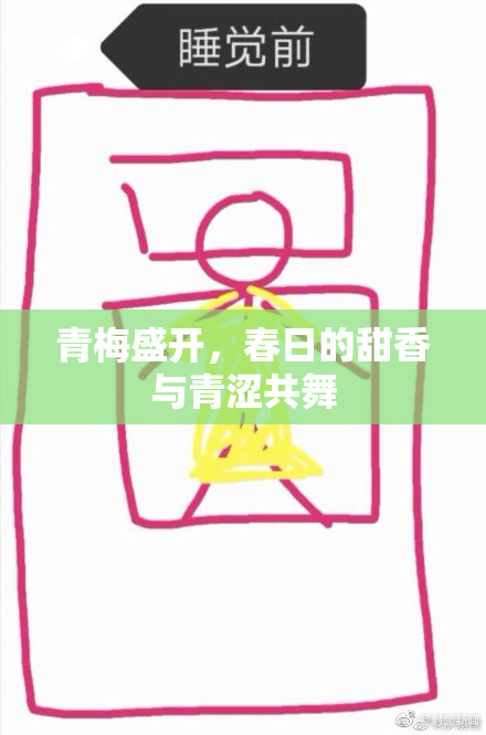 青梅盛开，春日的甜香与青涩共舞