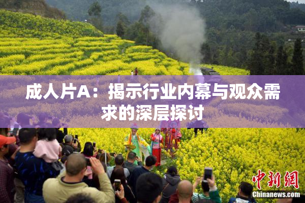 成人片A：揭示行业内幕与观众需求的深层探讨
