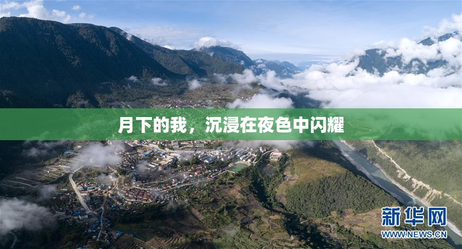 月下的我，沉浸在夜色中闪耀