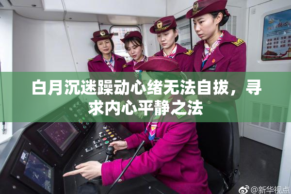 白月沉迷躁动心绪无法自拔，寻求内心平静之法