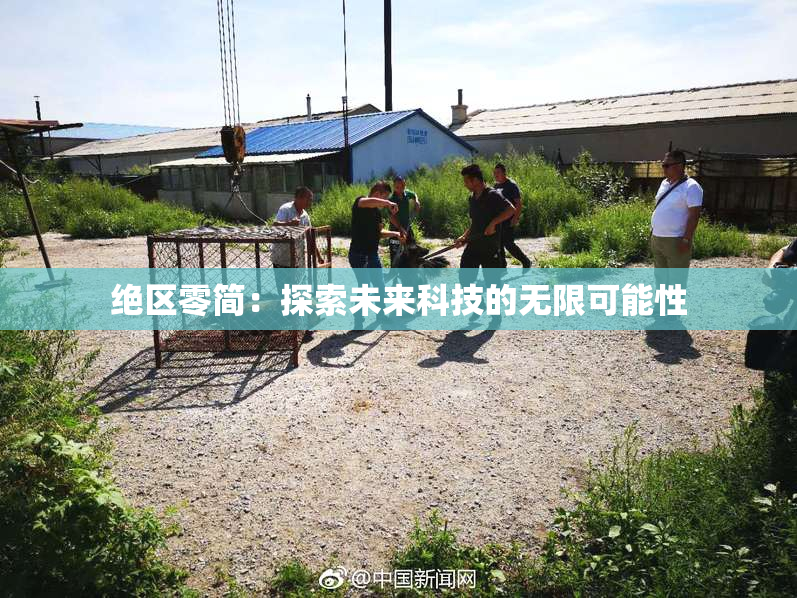 绝区零简：探索未来科技的无限可能性