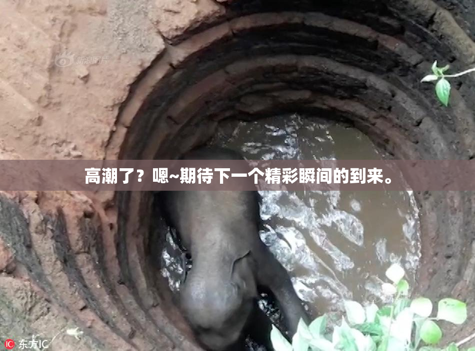 高潮了？嗯~期待下一个精彩瞬间的到来。