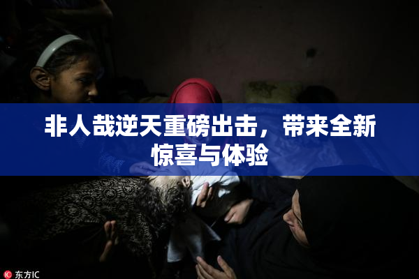 非人哉逆天重磅出击，带来全新惊喜与体验